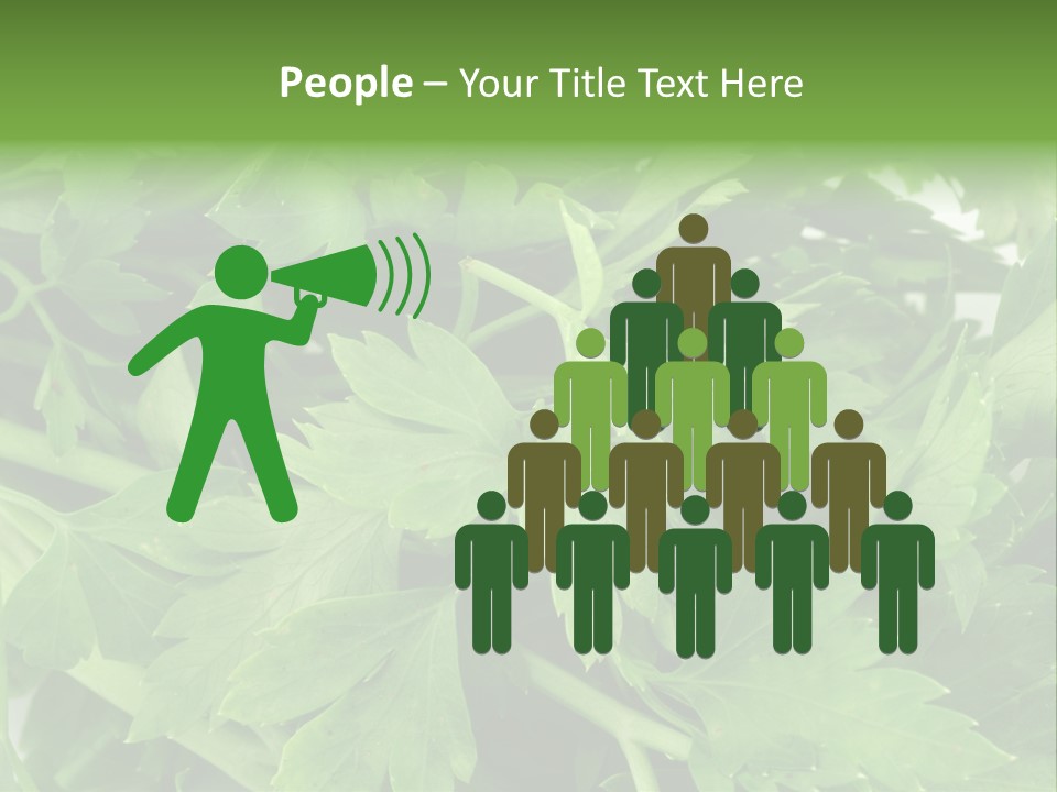 Green Bundle Ingredient PowerPoint Template