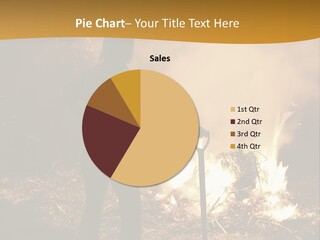 Toil Dusk Farm PowerPoint Template