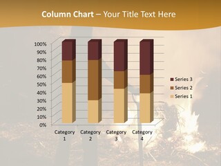 Toil Dusk Farm PowerPoint Template