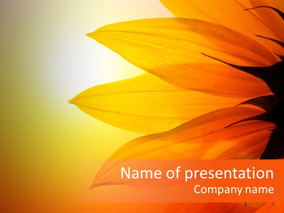 Colour Warm Tone PowerPoint Template