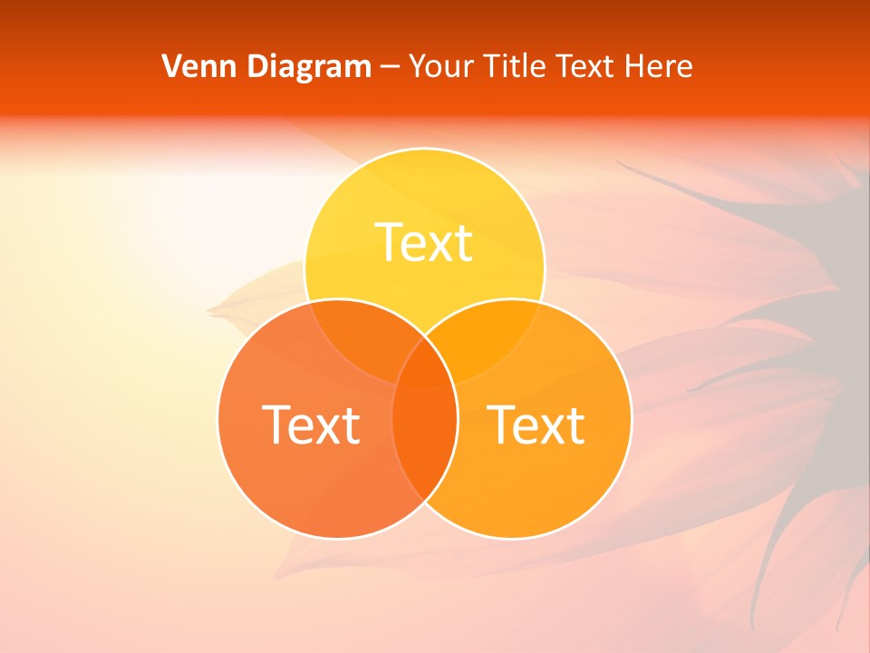 Colour Warm Tone PowerPoint Template