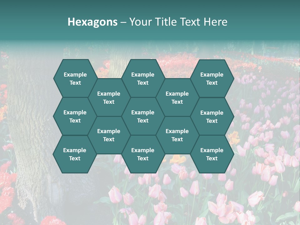 Details Decoration Flora PowerPoint Template