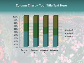 Details Decoration Flora PowerPoint Template