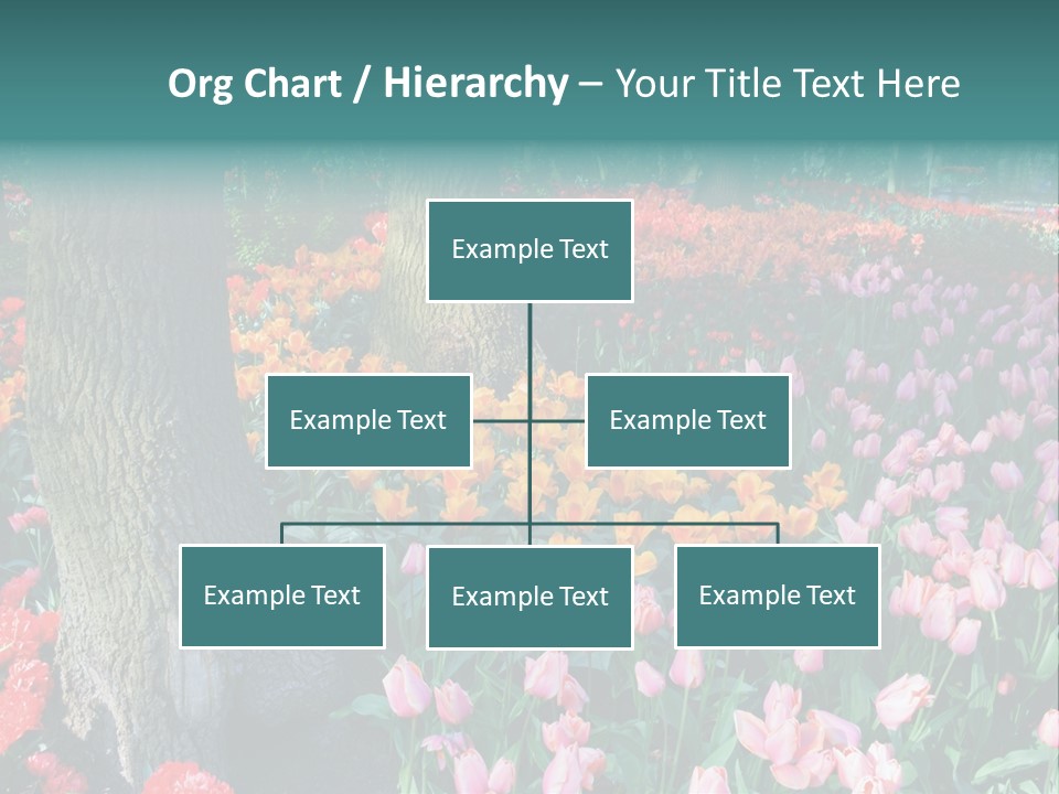 Details Decoration Flora PowerPoint Template