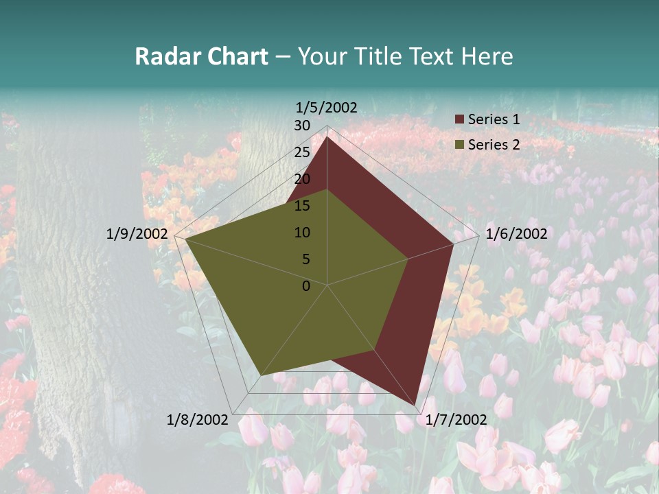 Details Decoration Flora PowerPoint Template