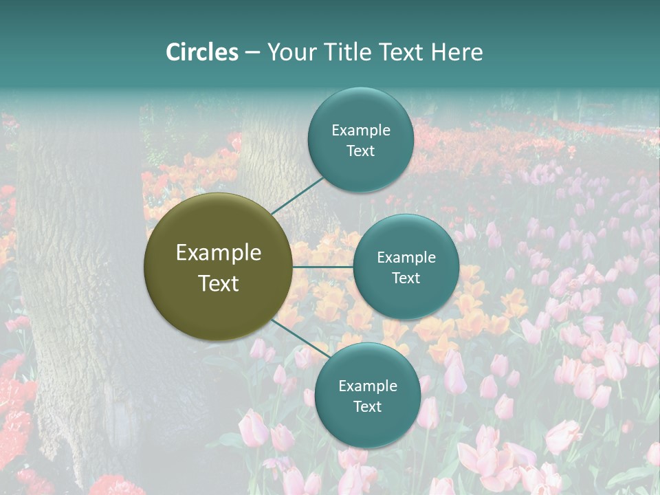 Details Decoration Flora PowerPoint Template