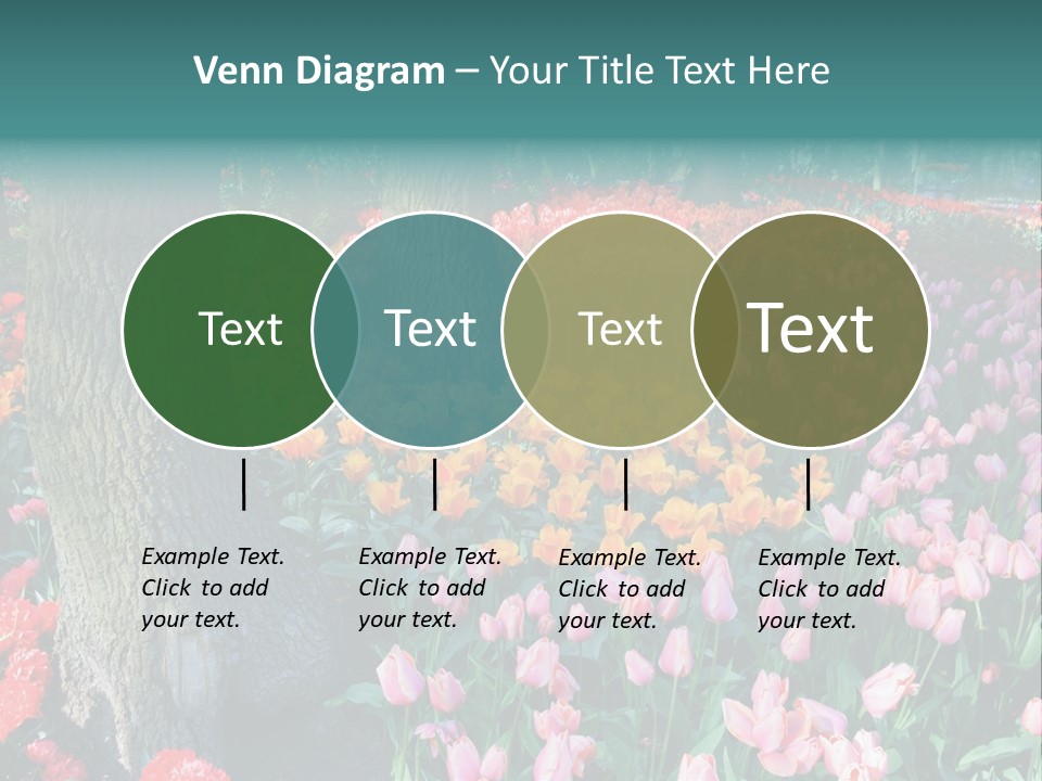 Details Decoration Flora PowerPoint Template