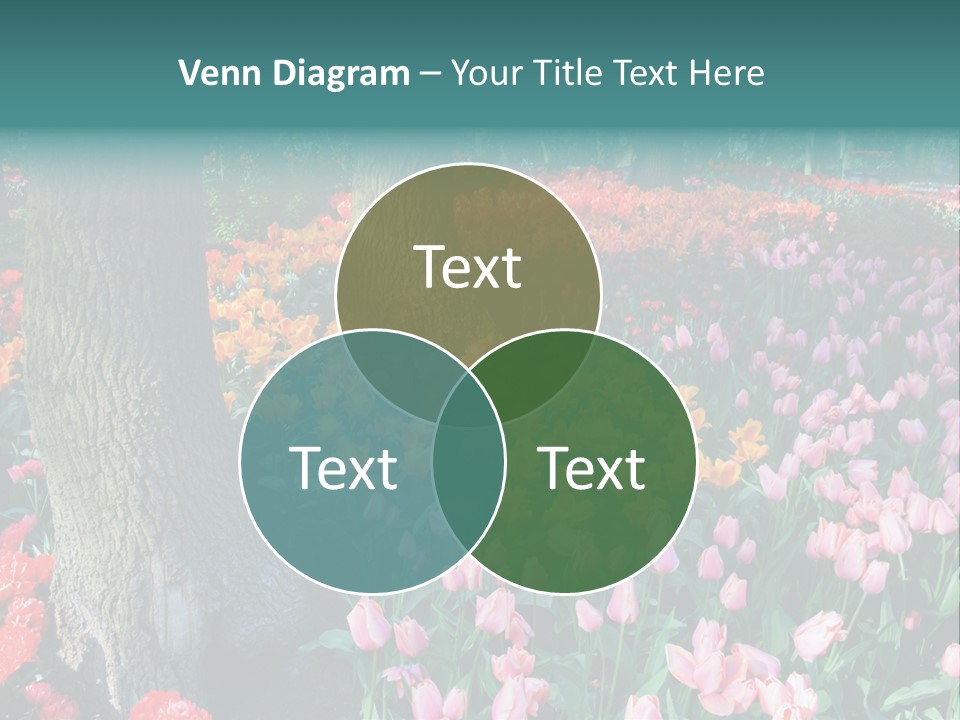 Details Decoration Flora PowerPoint Template