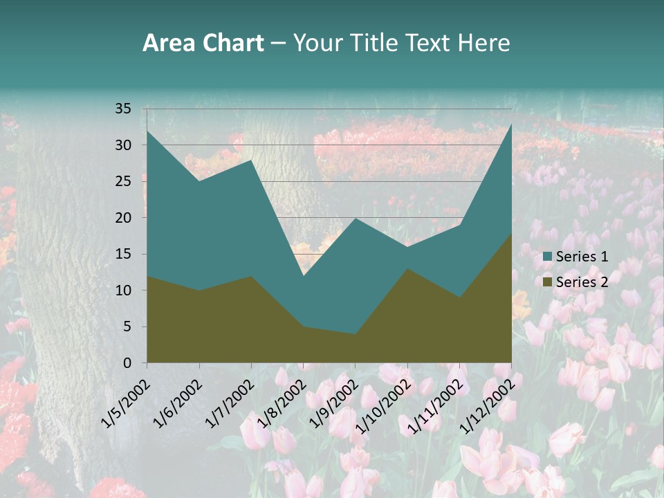 Details Decoration Flora PowerPoint Template
