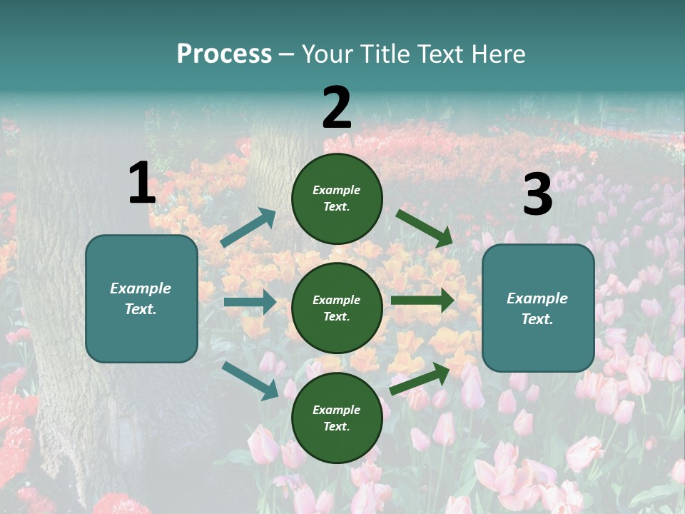 Details Decoration Flora PowerPoint Template