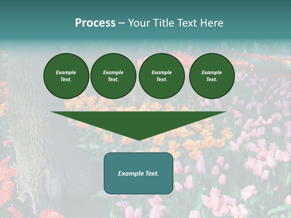 Details Decoration Flora PowerPoint Template