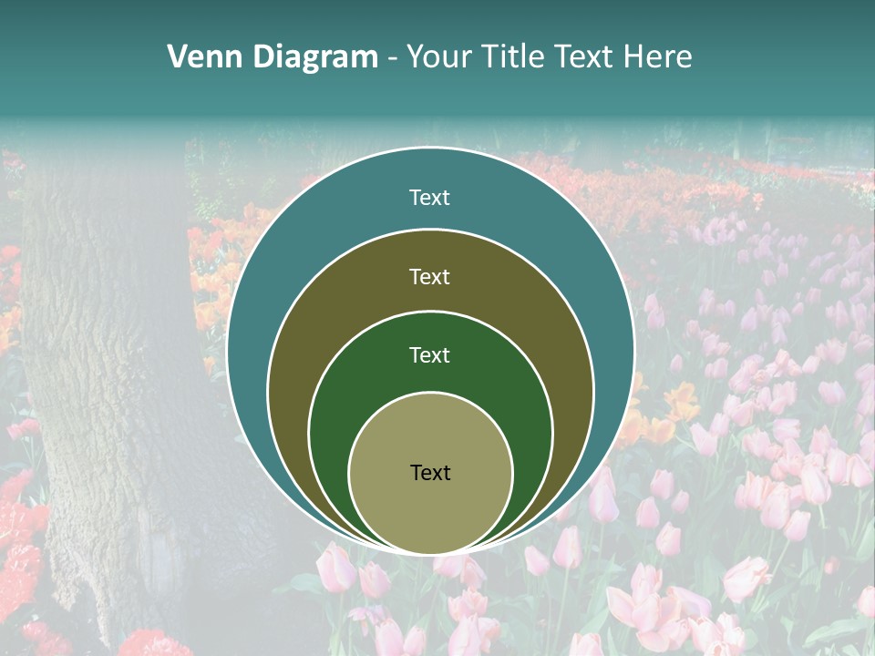 Details Decoration Flora PowerPoint Template