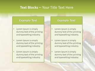 Cooking Dish Asian PowerPoint Template