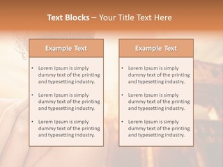 Mystery Majestic Face PowerPoint Template