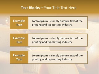 Five Fragility Bud PowerPoint Template