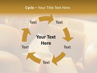 Five Fragility Bud PowerPoint Template