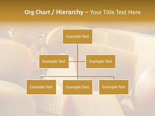 Five Fragility Bud PowerPoint Template