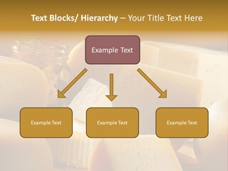 Five Fragility Bud PowerPoint Template