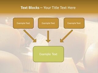 Five Fragility Bud PowerPoint Template