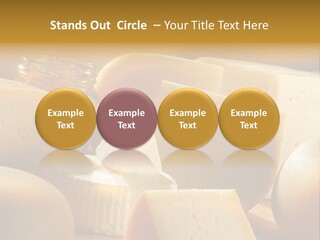 Five Fragility Bud PowerPoint Template