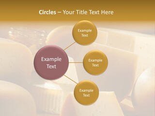 Five Fragility Bud PowerPoint Template