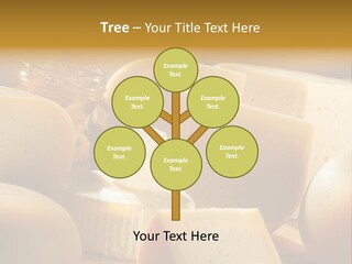 Five Fragility Bud PowerPoint Template