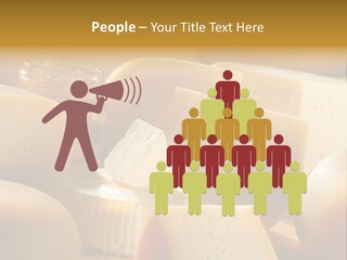 Five Fragility Bud PowerPoint Template