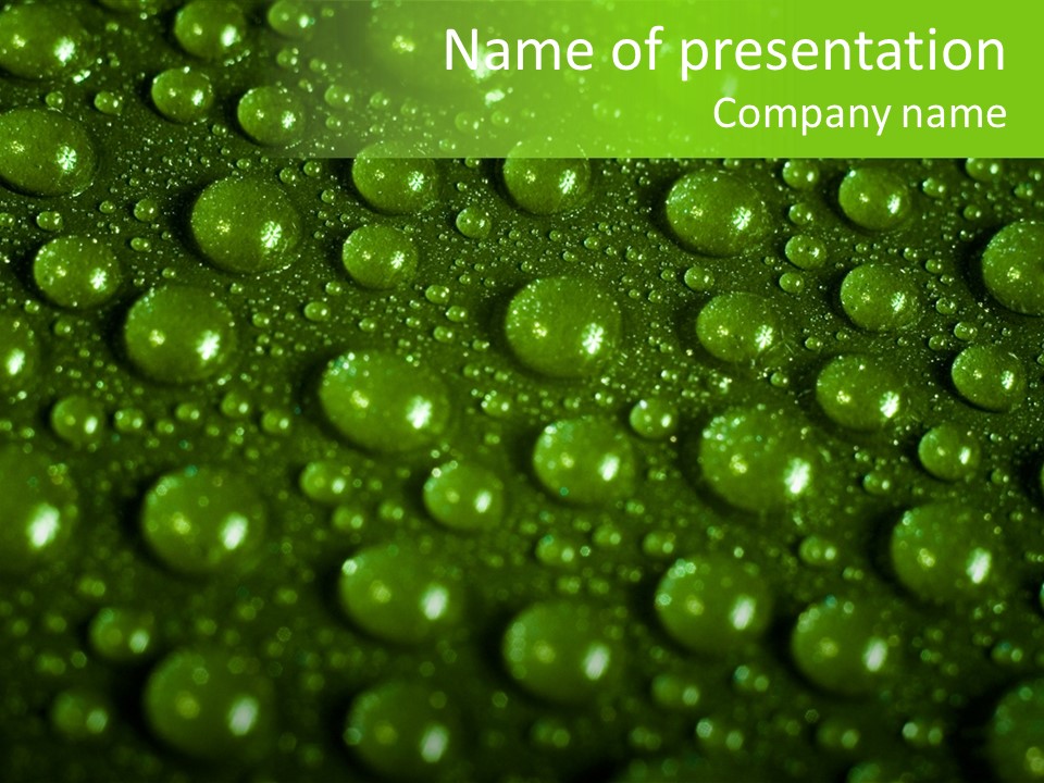 Wet Fibre Macro PowerPoint Template