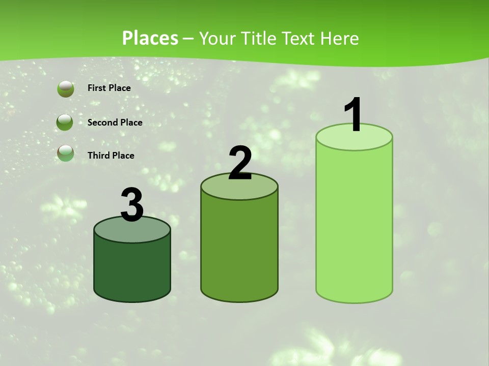 Nature Feather Rood Screen PowerPoint Template