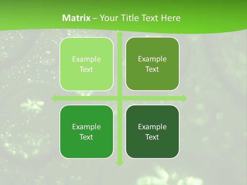 Nature Feather Rood Screen PowerPoint Template