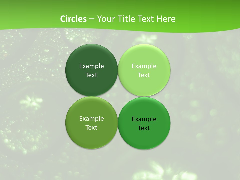 Nature Feather Rood Screen PowerPoint Template