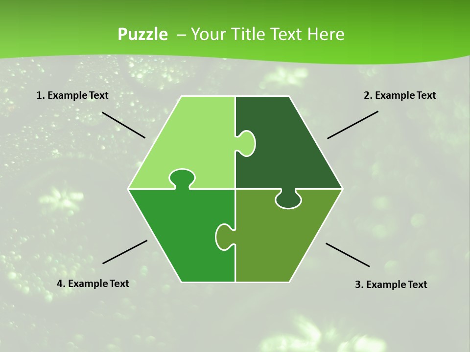 Nature Feather Rood Screen PowerPoint Template