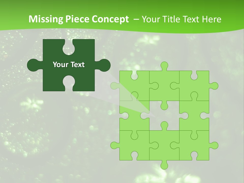 Nature Feather Rood Screen PowerPoint Template