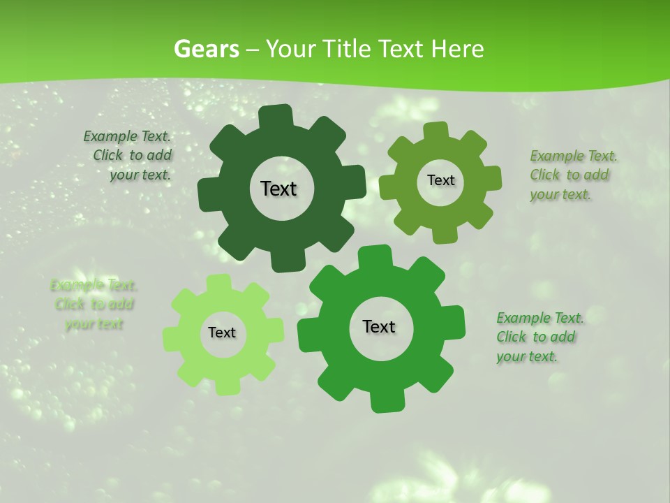 Nature Feather Rood Screen PowerPoint Template