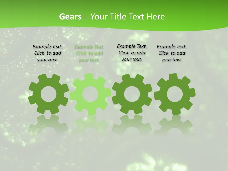 Nature Feather Rood Screen PowerPoint Template