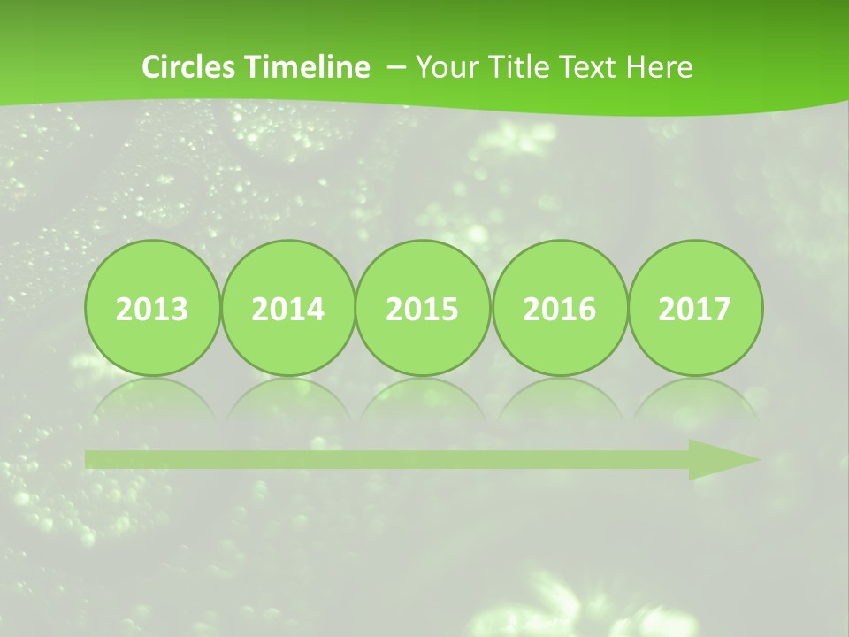 Nature Feather Rood Screen PowerPoint Template