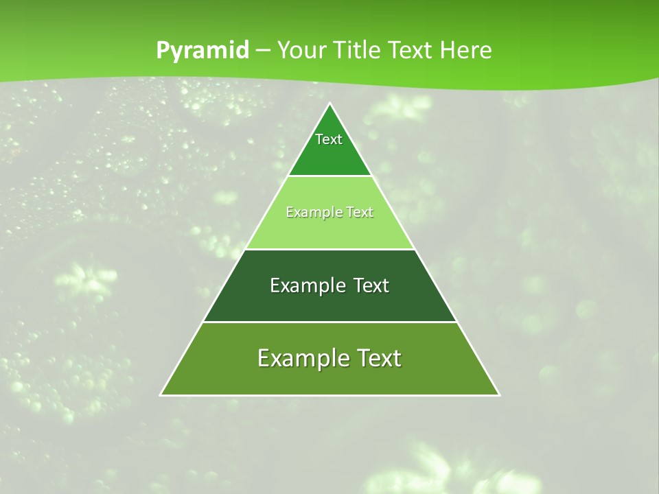 Nature Feather Rood Screen PowerPoint Template