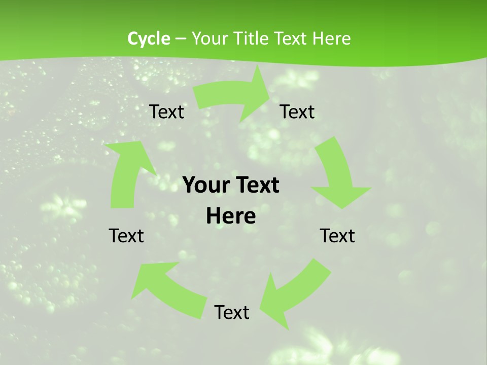 Nature Feather Rood Screen PowerPoint Template