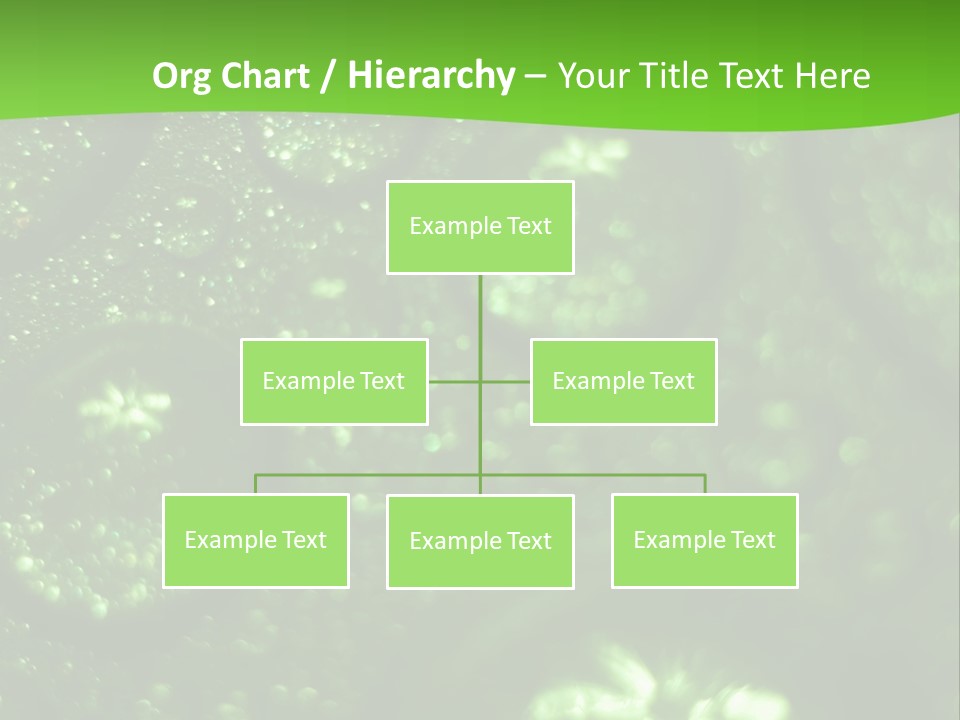 Nature Feather Rood Screen PowerPoint Template