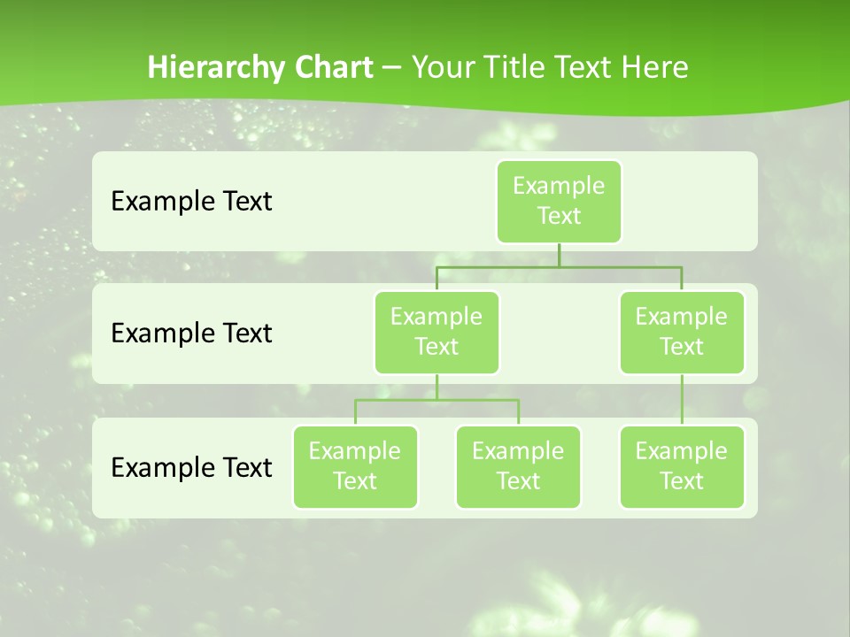 Nature Feather Rood Screen PowerPoint Template