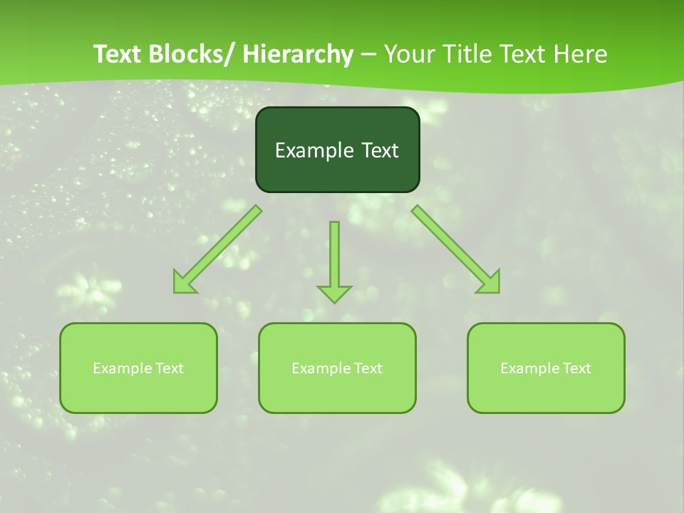 Nature Feather Rood Screen PowerPoint Template