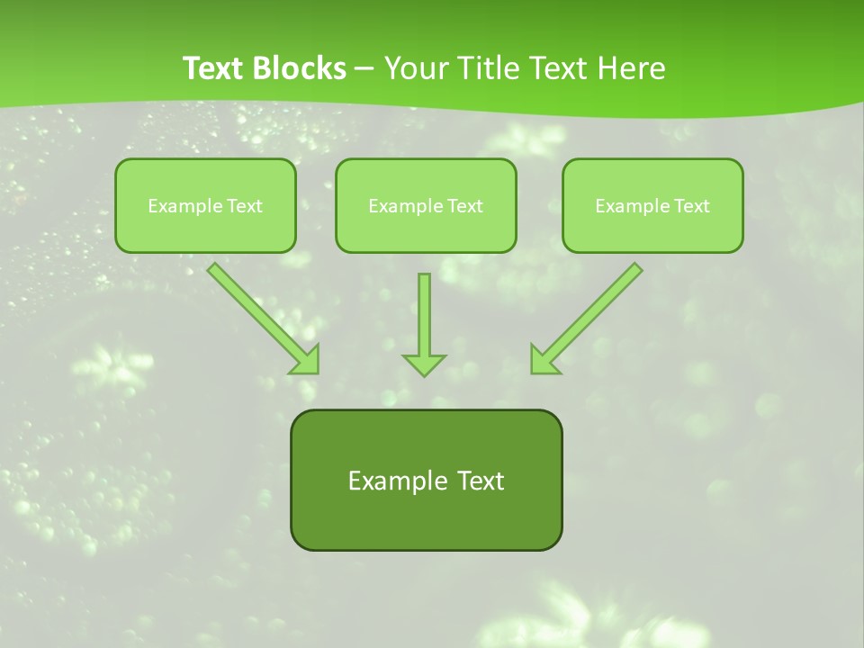 Nature Feather Rood Screen PowerPoint Template