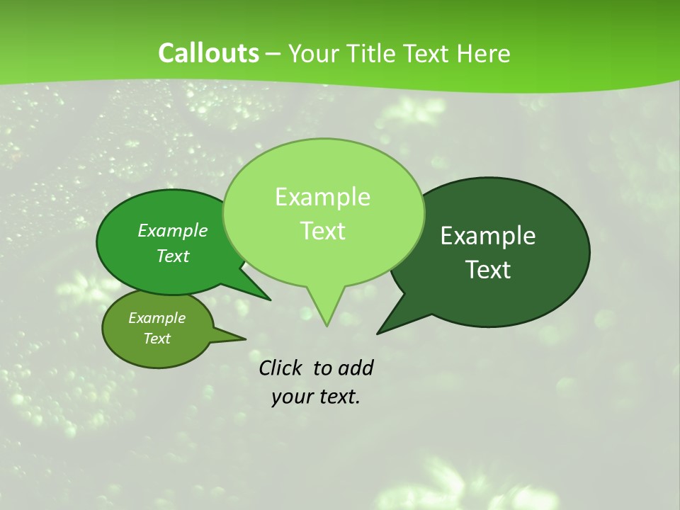 Nature Feather Rood Screen PowerPoint Template