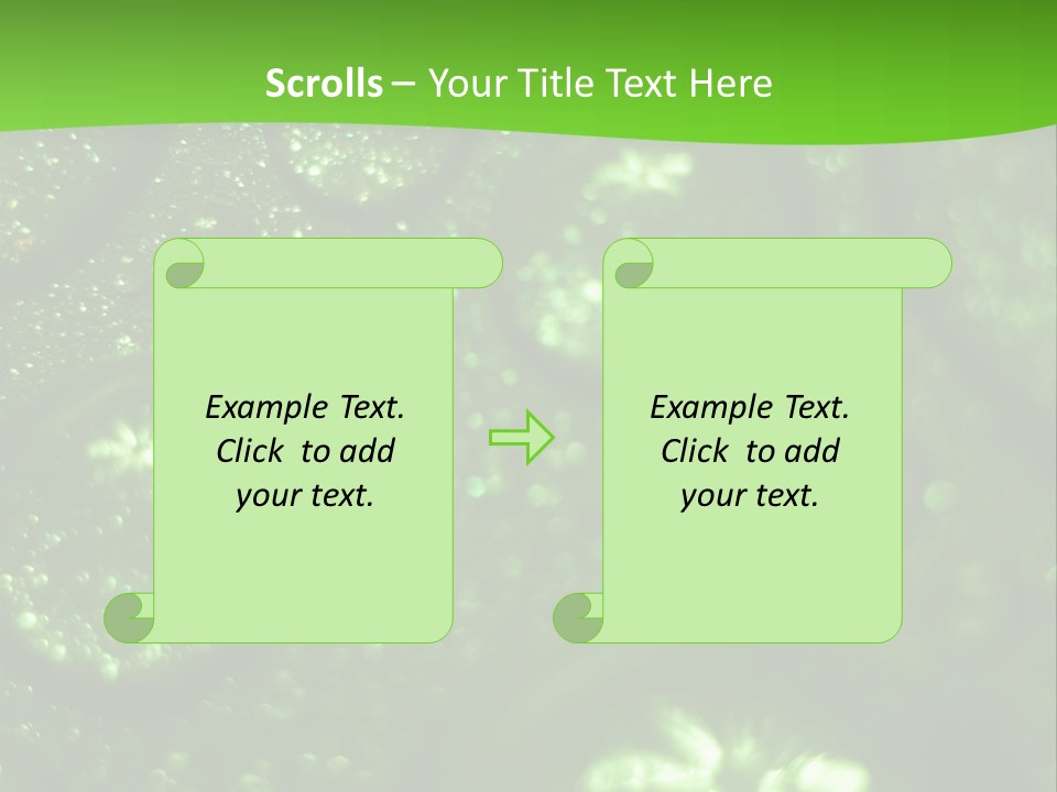 Nature Feather Rood Screen PowerPoint Template