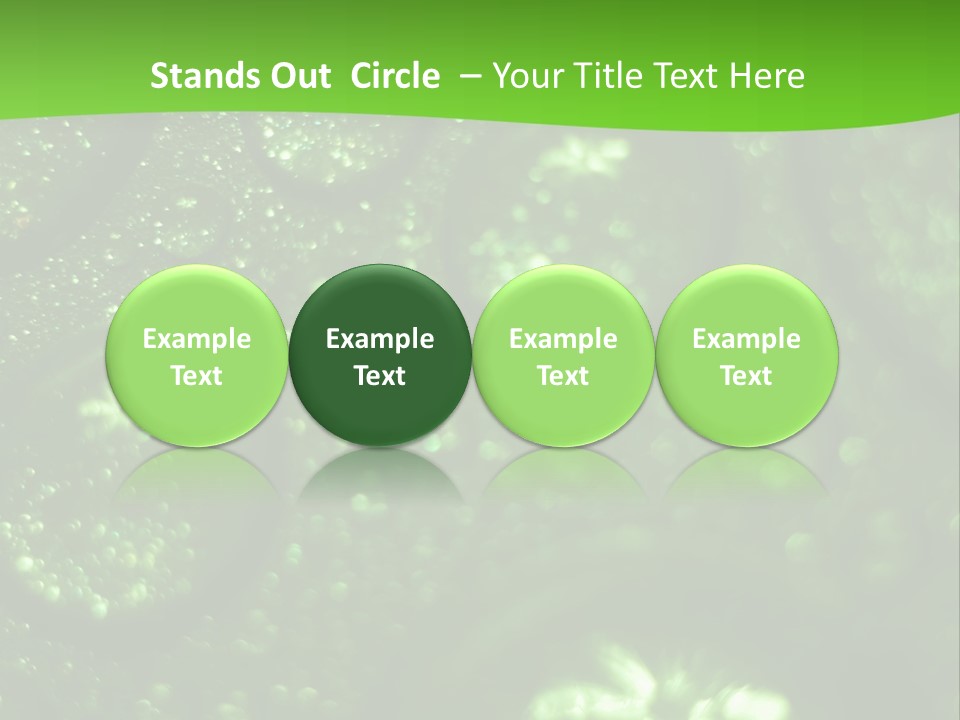 Nature Feather Rood Screen PowerPoint Template