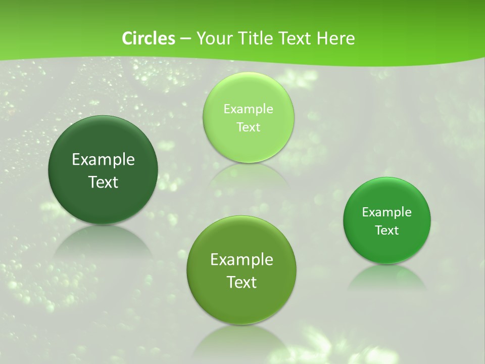 Nature Feather Rood Screen PowerPoint Template