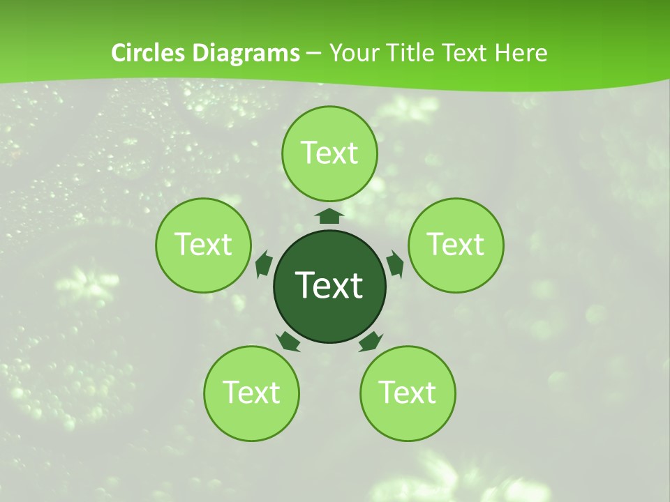 Nature Feather Rood Screen PowerPoint Template