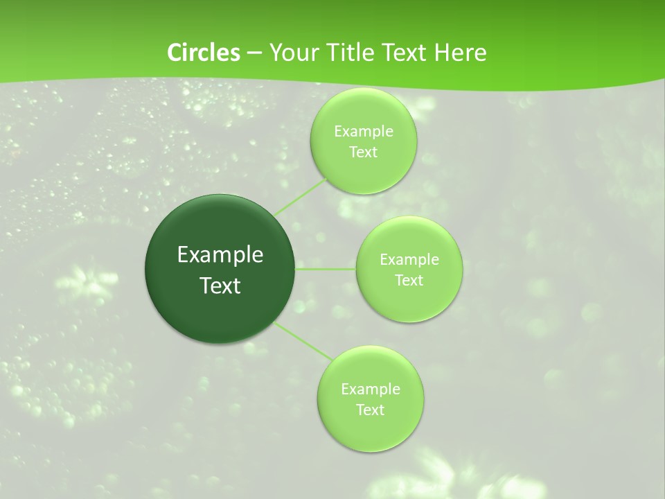 Nature Feather Rood Screen PowerPoint Template