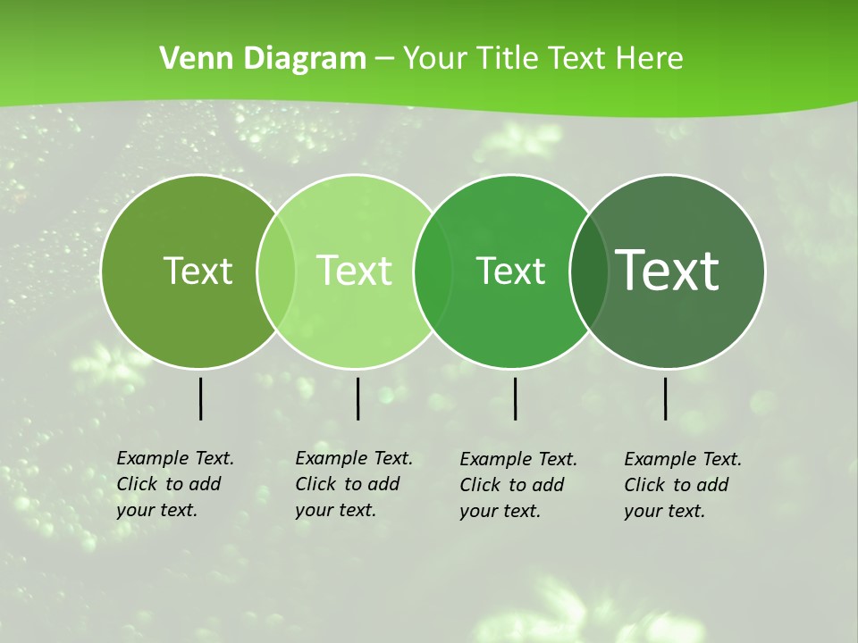 Nature Feather Rood Screen PowerPoint Template