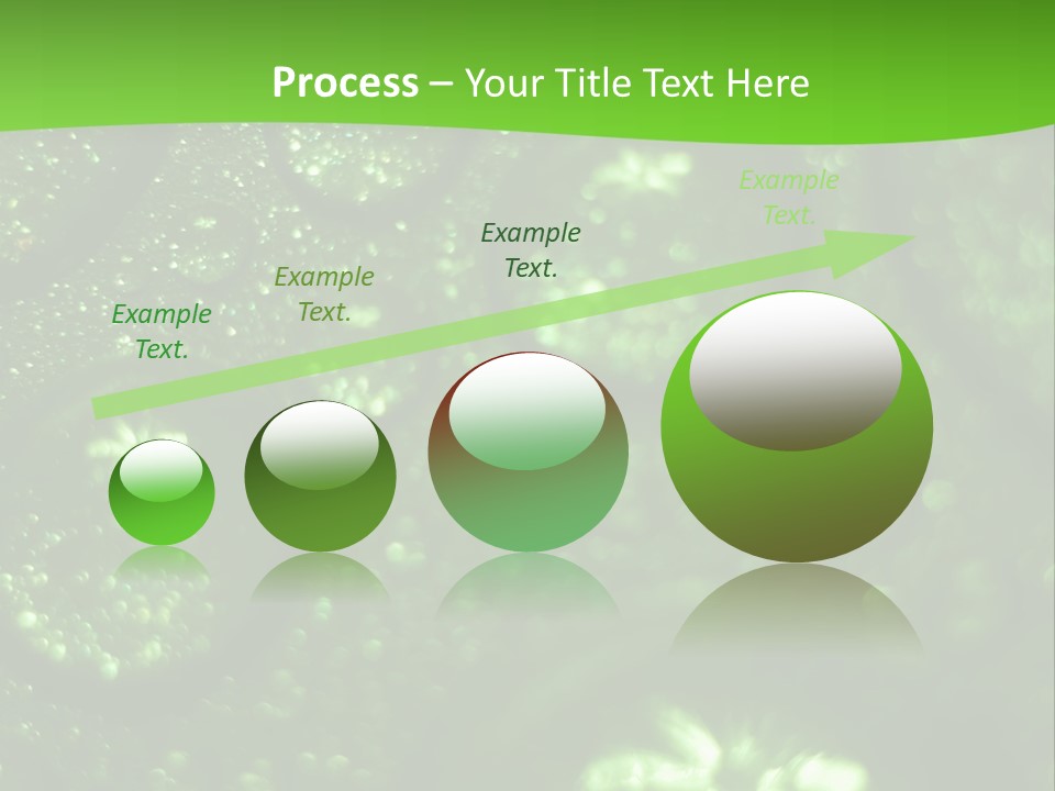 Nature Feather Rood Screen PowerPoint Template